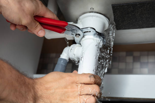 Best Professional water damage repair  in Lake Magdalene, FL