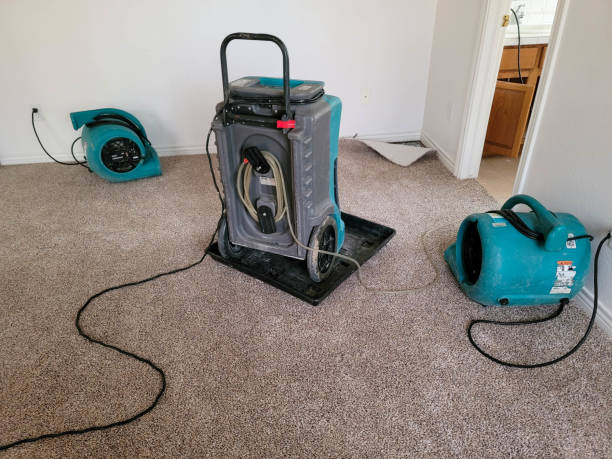 Best Carpet water damage restoration  in Lake Magdalene, FL