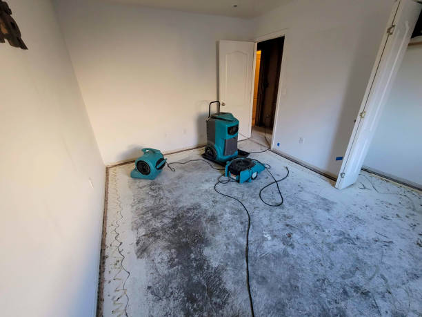 Lake Magdalene, FL Water damage restoration Pros