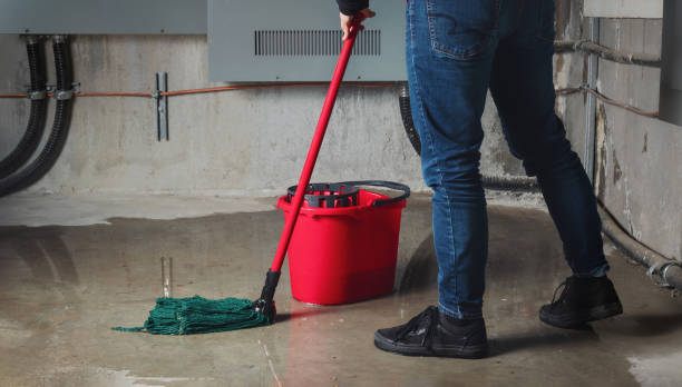 Best Water damage cleanup near me  in Lake Magdalene, FL