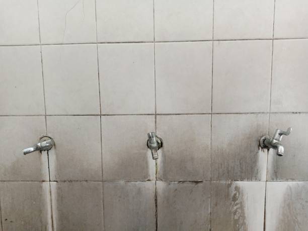 Best Sewage cleanup and water damage restoration  in Lake Magdalene, FL