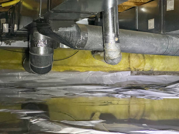 Best Water damage restoration mold remediation  in Lake Magdalene, FL