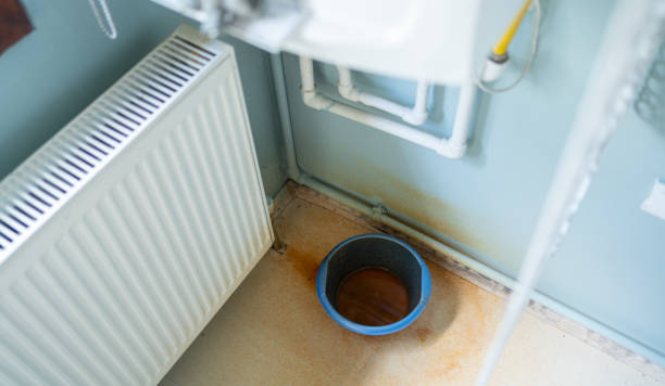 Best Ceiling water damage repair  in Lake Magdalene, FL