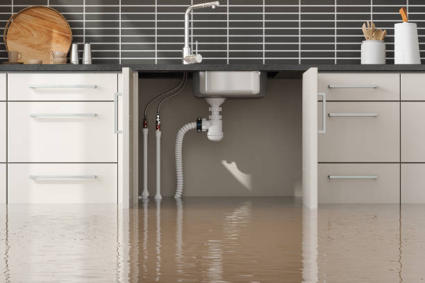 Best Local water damage restoration  in Lake Magdalene, FL
