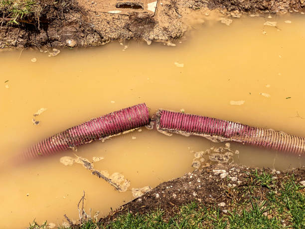 Best Emergency water damage restoration  in Lake Magdalene, FL