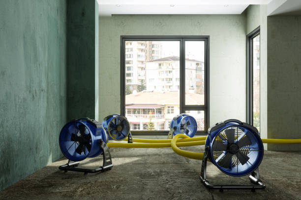 Best 24-hour water damage restoration  in Lake Magdalene, FL